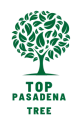 Top Pasadena Tree Logo